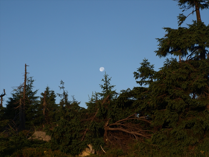 2015-08-02 06.16.22 55 Nachtwanderung zum Brocken