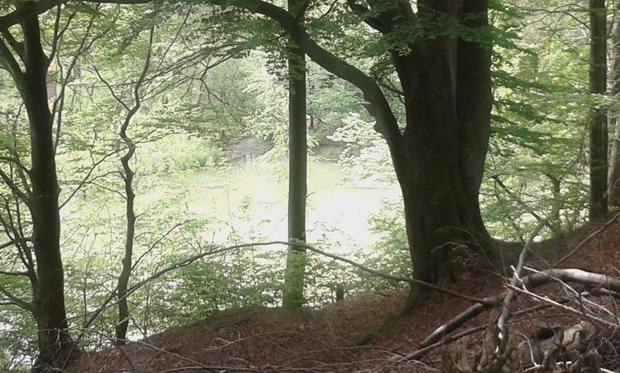 Frühjahrswanderung2