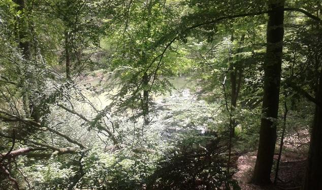 Frühjahrswanderung4