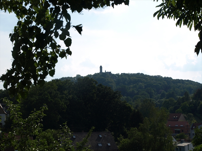 Aussicht vom Biergarten Greifenklau