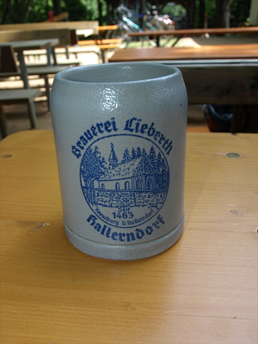 2015-06-14 15.00.52 075 TG Radtour Männer