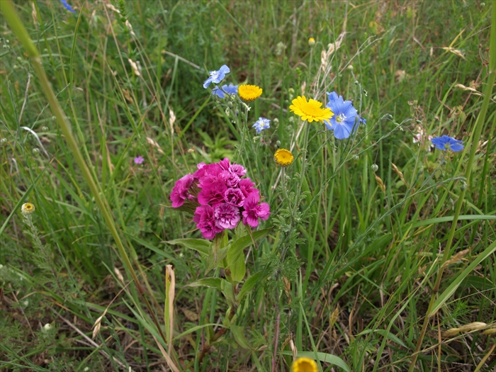 2015-06-15 11.41.49 116 TG Radtour Männer