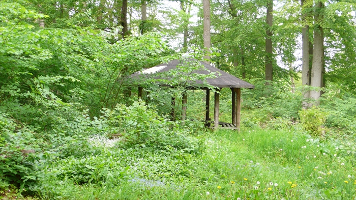 Bild 10 
