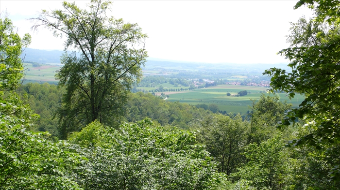 Bild 14 
