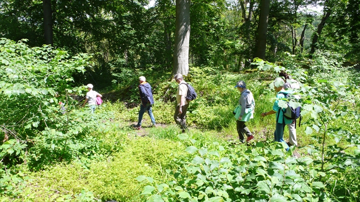 Bild 15 