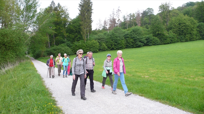 Bild 4 