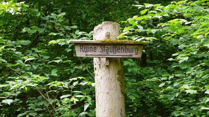 Bild 6 