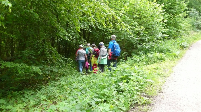 Bild 7 