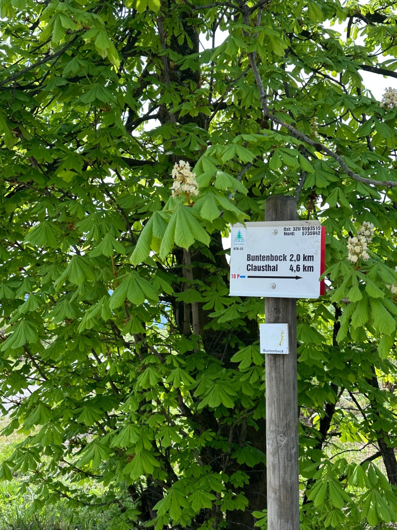 Fruhjahrswanderung202603