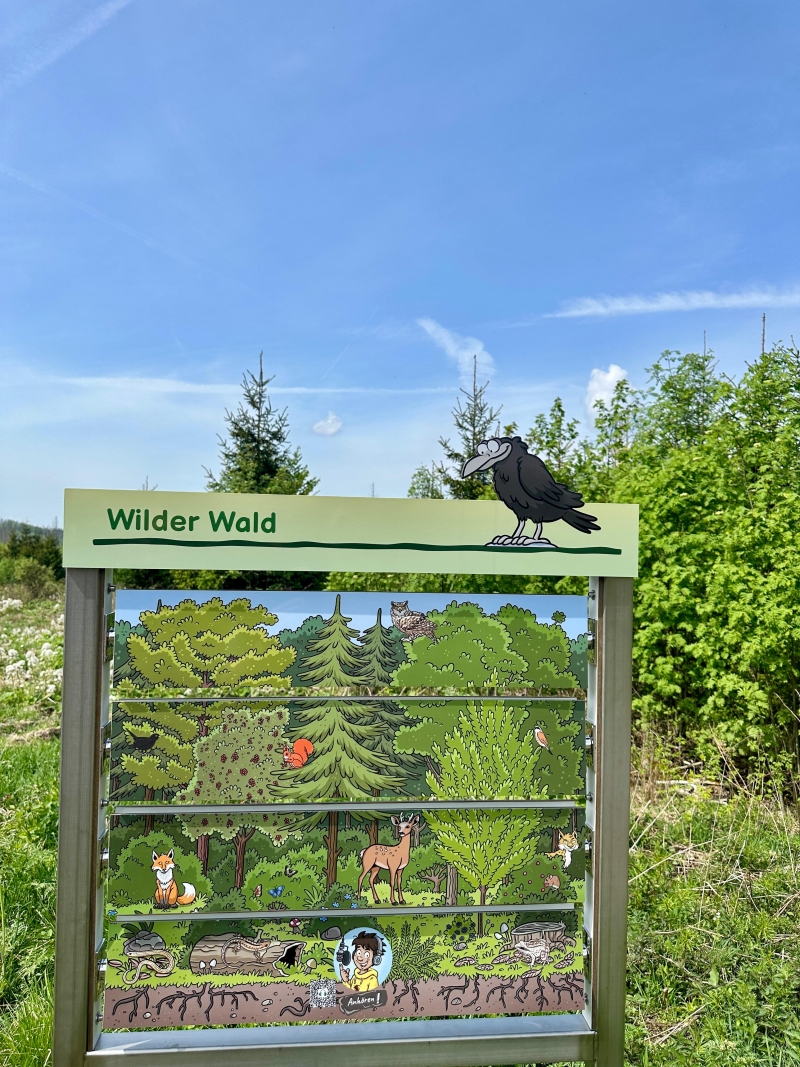 Fruhjahrswanderung202607
